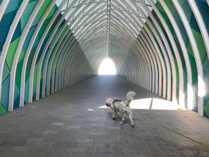 港町ヘルシンキの日常