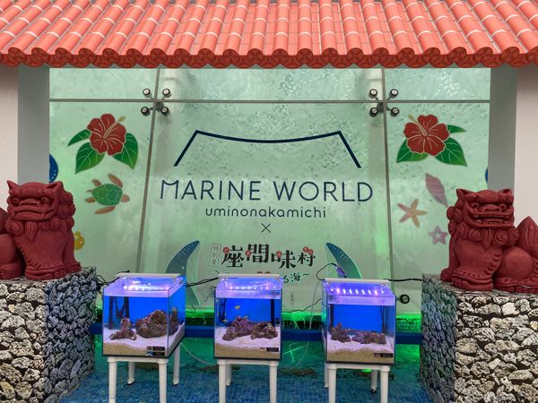 日本・福岡「福岡」の写真