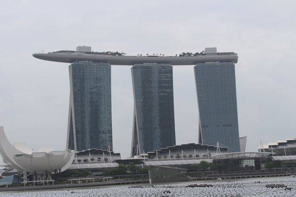 シンガポール・シンガポール「2015：ESMO Asia@Singapore」の写真：@Merlion Park

マリーナベ...