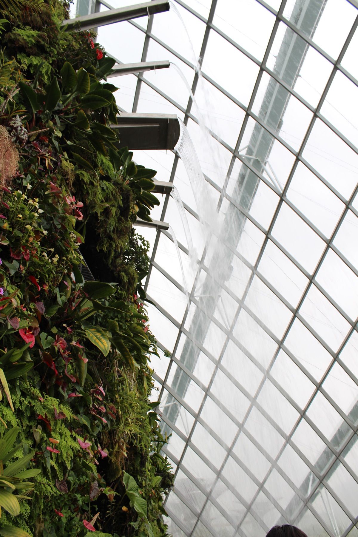 @Gardens by the Bay②

スコール☔️に見舞われたので、...