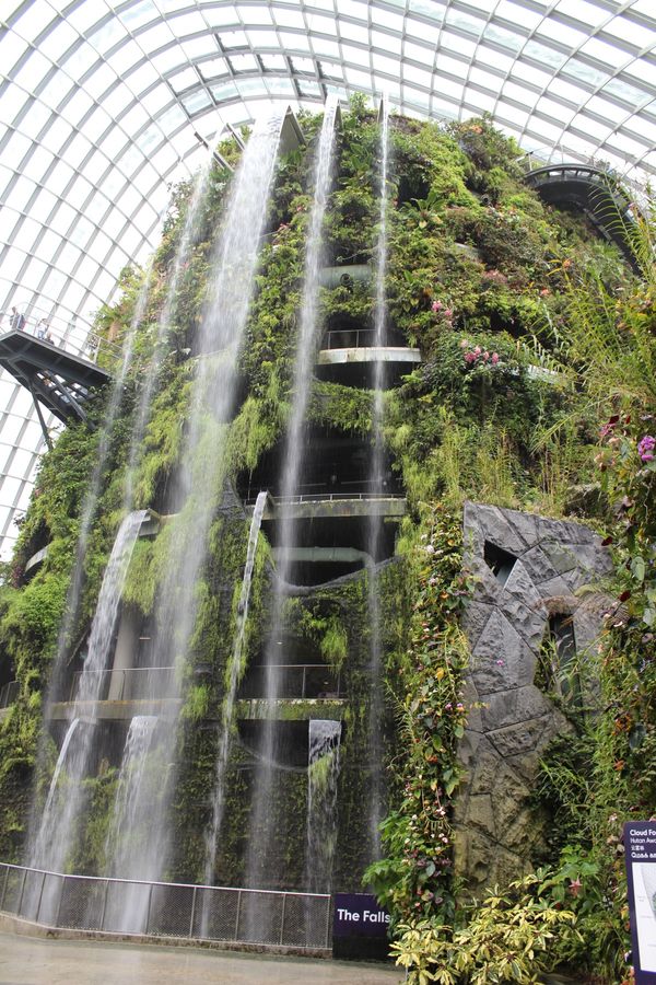 シンガポール・シンガポール「2015：ESMO Asia@Singapore」の写真：@Gardens by the Bay③...