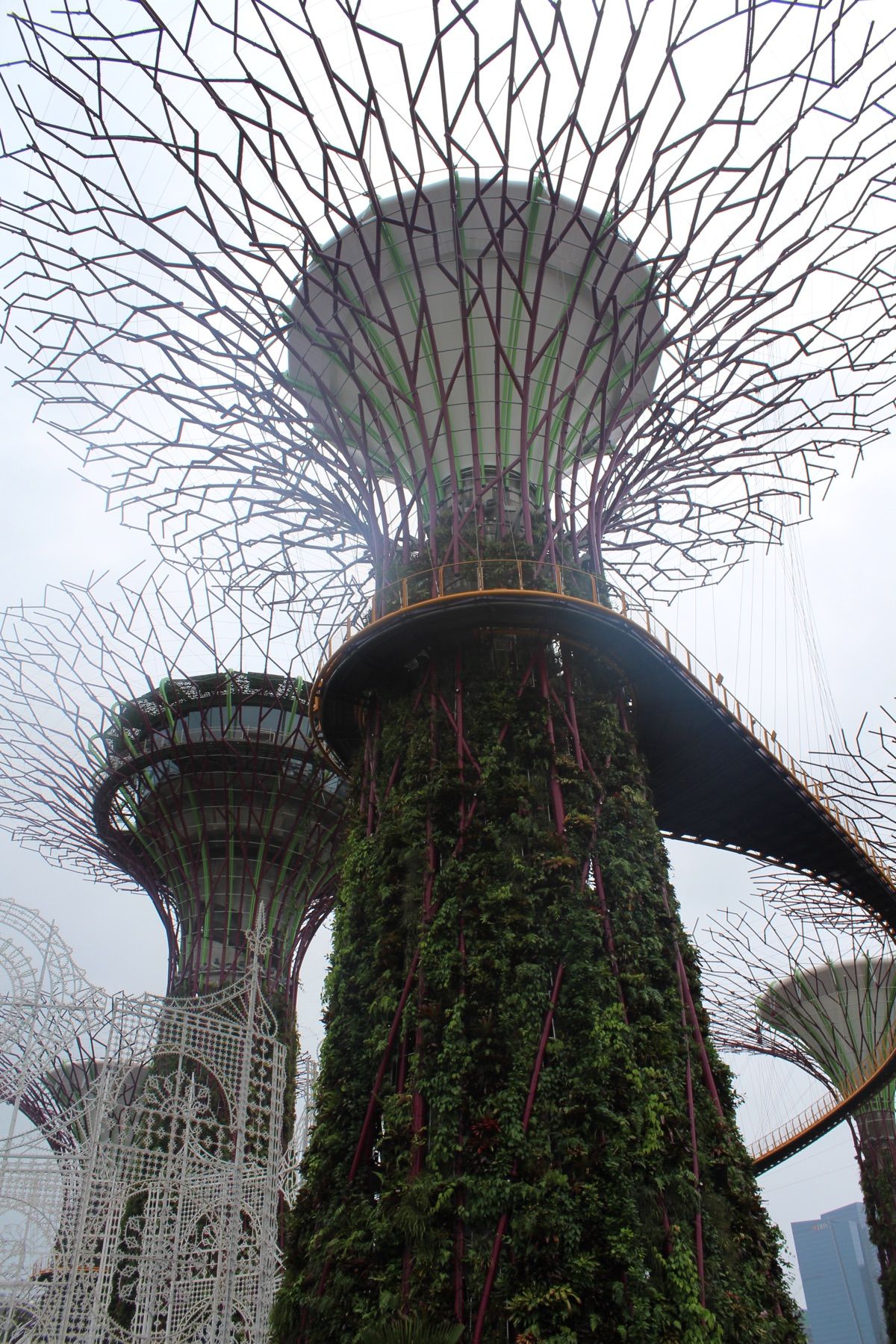 @Gardens by the Bay①

ガーデンズ・バイ・ザ・ベイは埋...