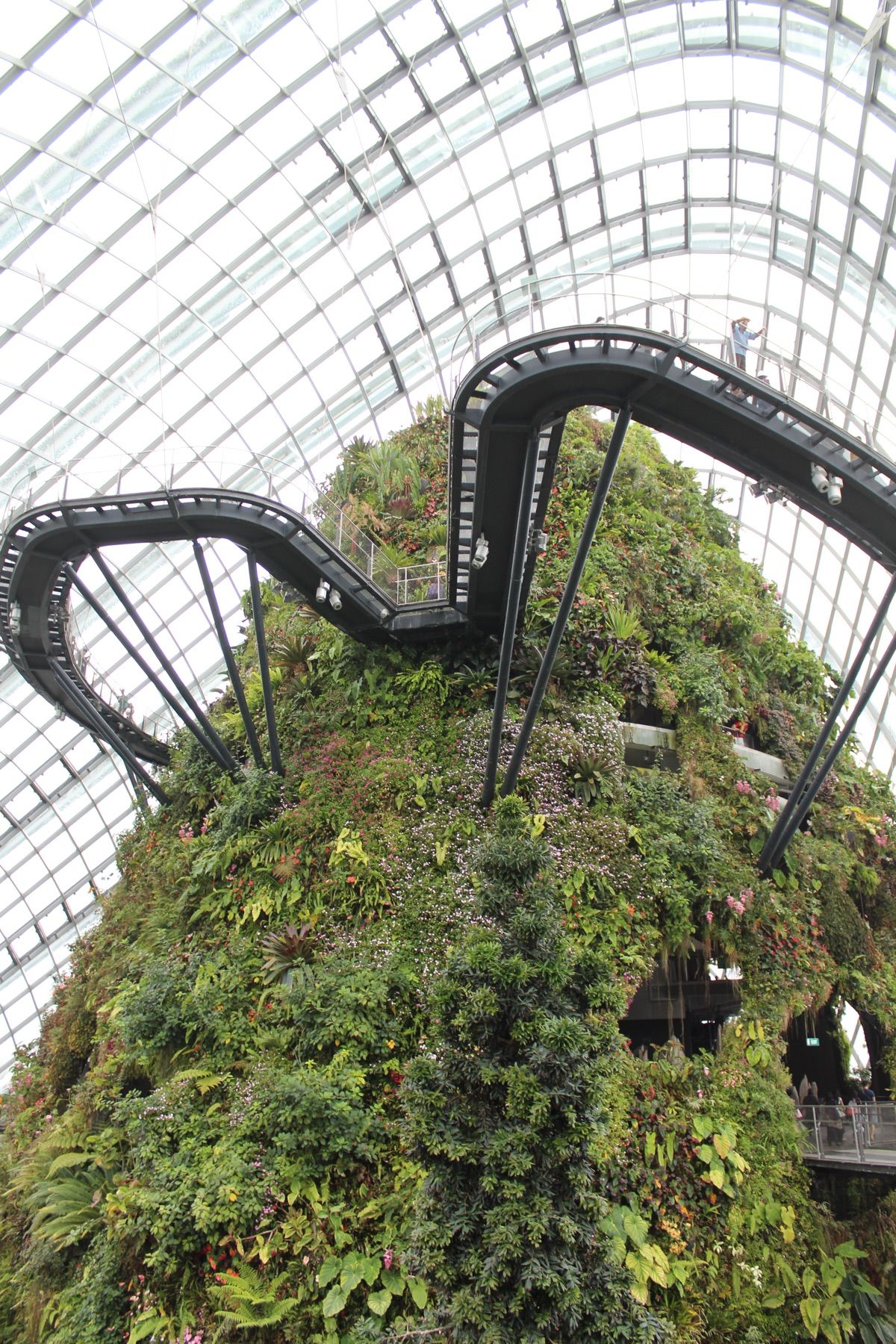 @Gardens by the Bay③

高さ35mの人工滝があり、クラ...