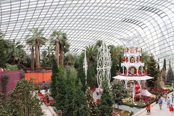 シンガポール・シンガポール「2015：ESMO Asia@Singapore」の写真：@Gardens by the Bay②...