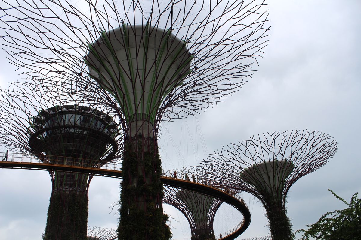 @Gardens by the Bay①

ガーデンズ・バイ・ザ・ベイは埋...