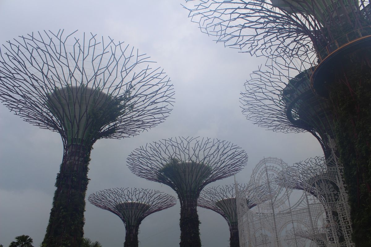 @Gardens by the Bay①

ガーデンズ・バイ・ザ・ベイは埋...