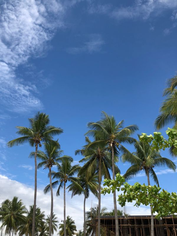 フィジー・ナンディ「Nadi, Fiji」の写真：海🏝