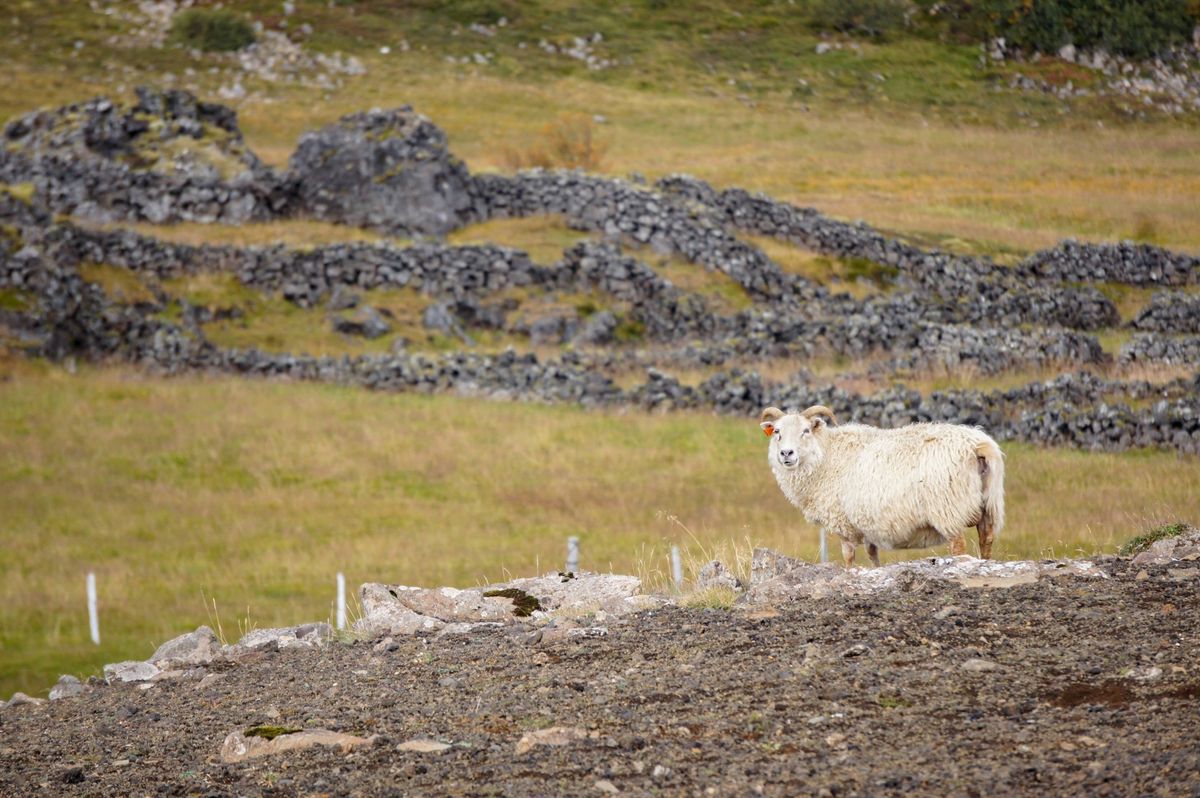 アイスランドの自然