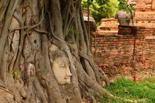 タイ・バンコク「タイ」の写真