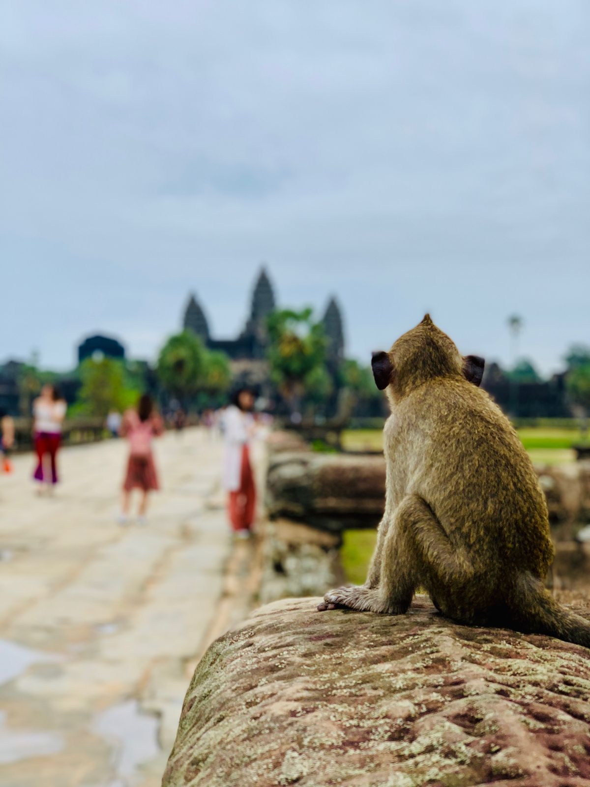 アンコール・ワット