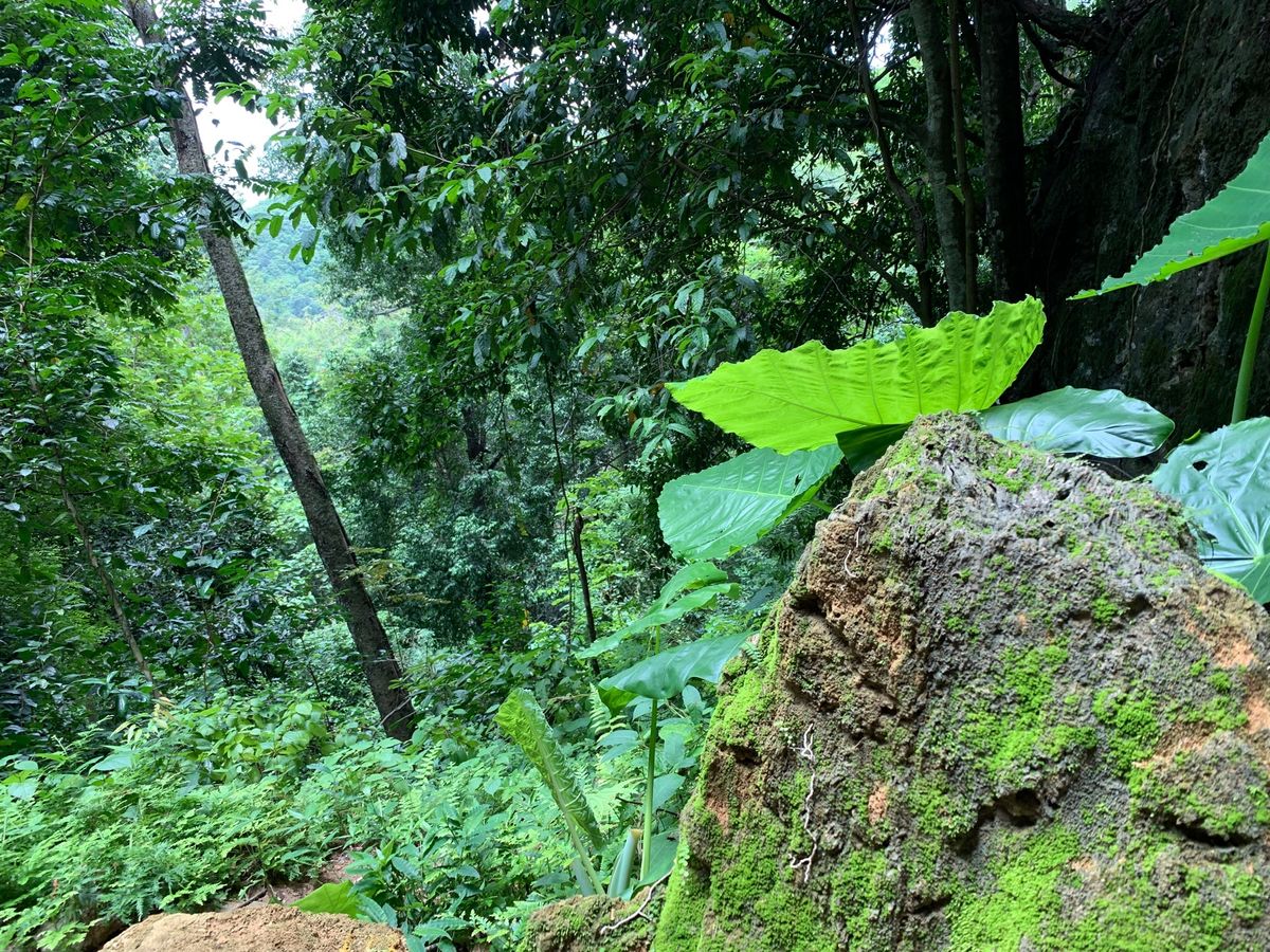 ラオスの雄大な自然