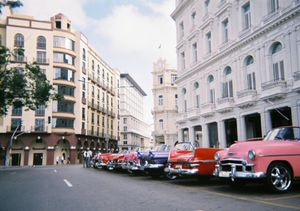 写ルンですVer.