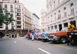 写ルンですVer.