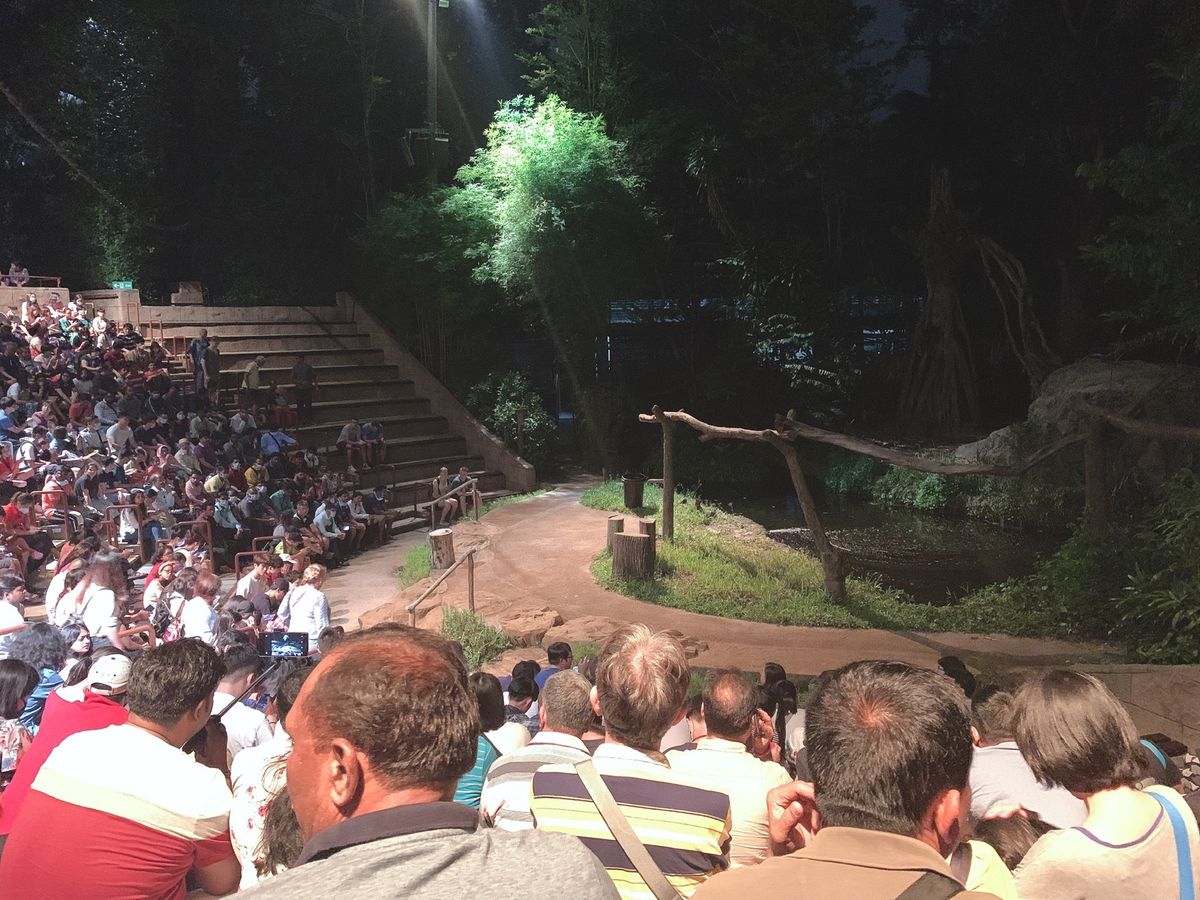 想像以上にインド人が多かったナイトサファリ🐘
夜に動物園…すごかったなぁ…