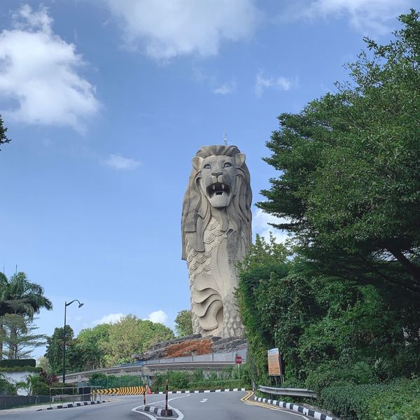 シンガポール・シンガポール「初海外！シンガポール旅行🇸🇬」の写真：セントーサ島🌴
「リゾート地最高…」しか...