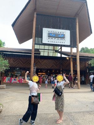 想像以上にインド人が多かったナイトサファリ🐘
夜に動物園…すごかったなぁ…