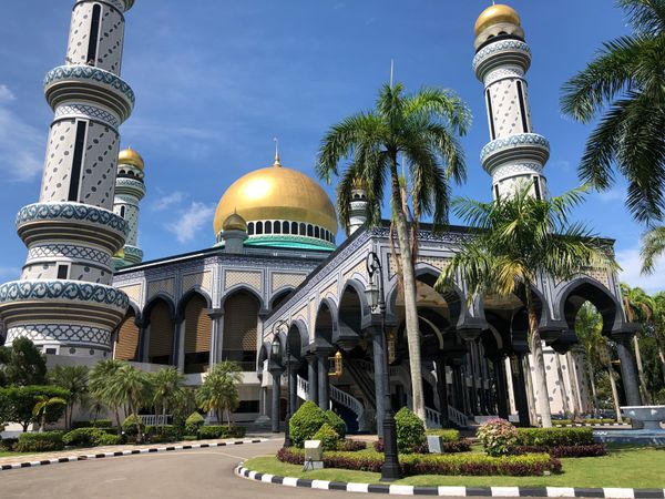 ブルネイ・ダルサラーム国・バンダルスリブガワン「Brunai」の写真：毎朝タンさんが迎えにきてくれてジャングル...