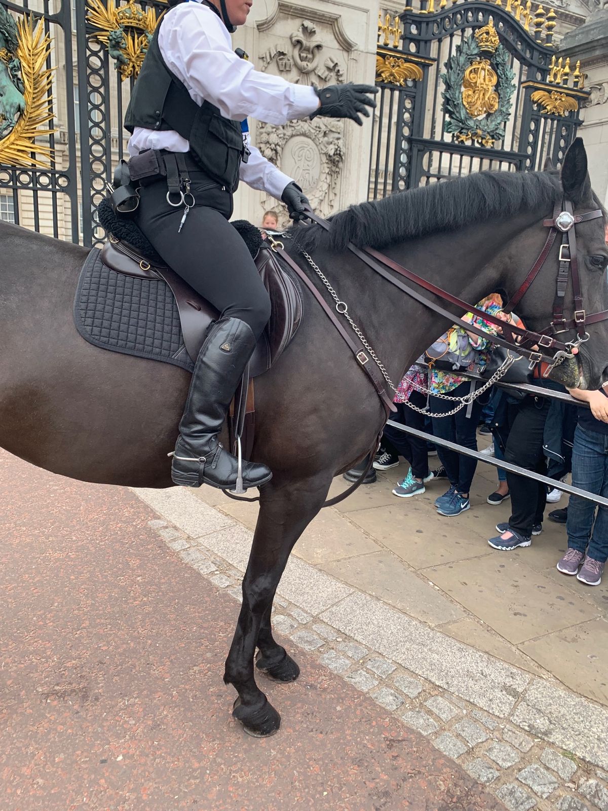 バッキンガム宮殿 衛兵交代式
すごい人であんまりよく見えなかったけどイギ...