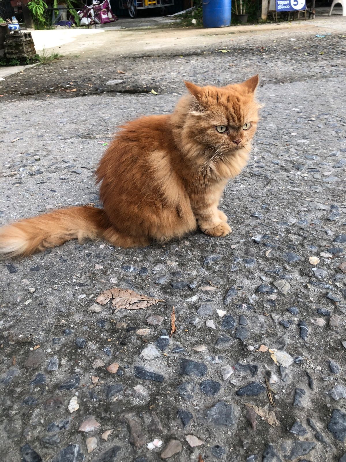 ラノーンの温泉はとっても良かった。みんな水着で入って、あったまったら外に岩...