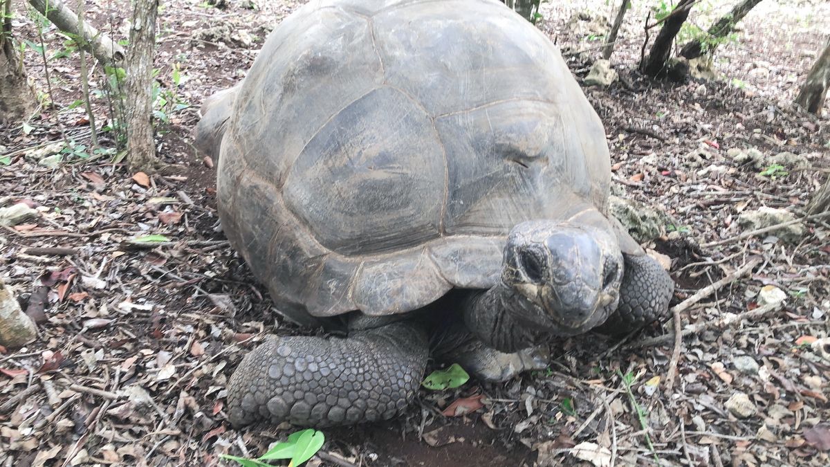 自然公園に行ったり、ひたすら動物に触った1日だった。