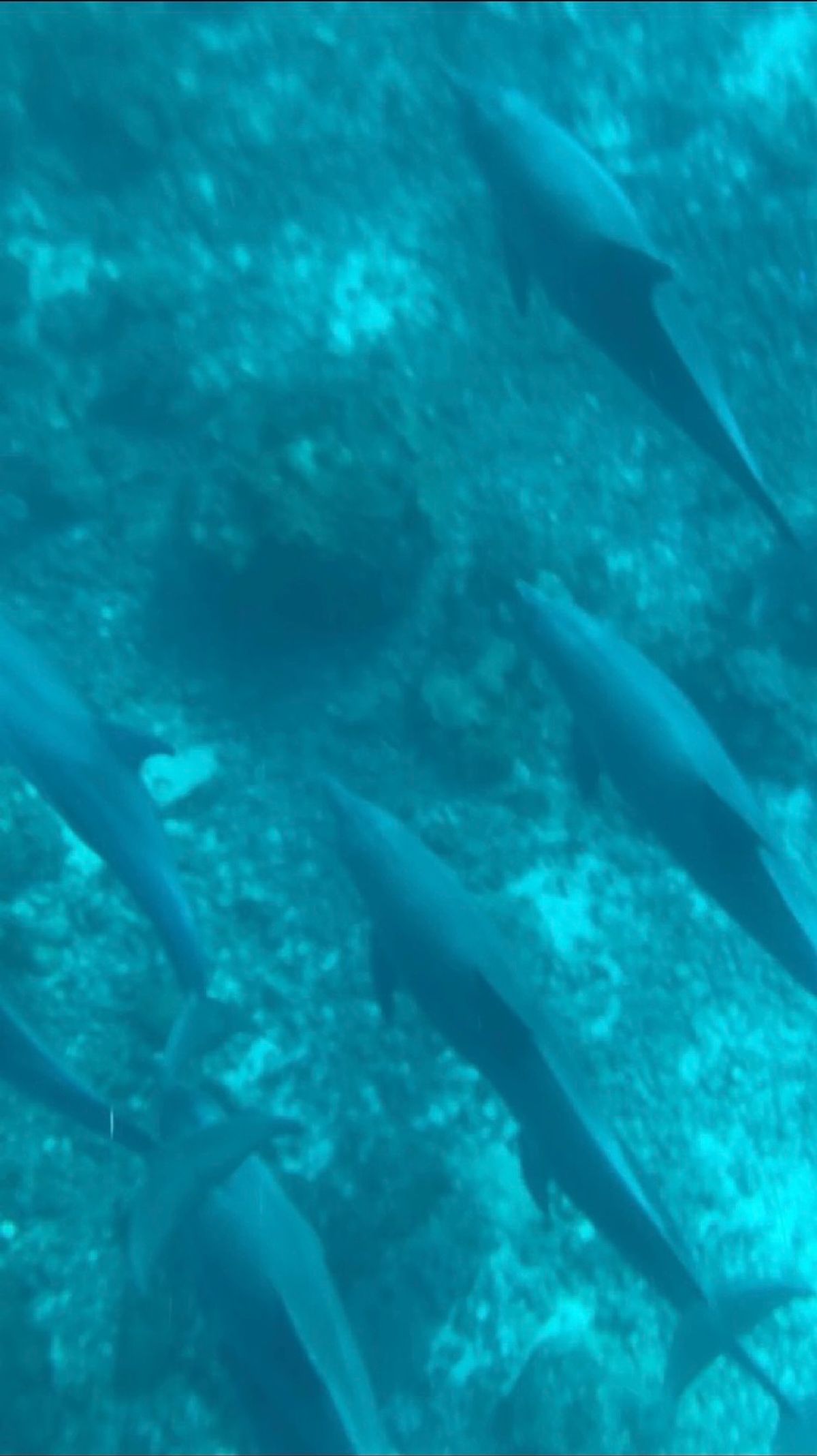 ザンジバルに着いてまずはホテルまで移動。ホテルを思っていたよりも道のない南...