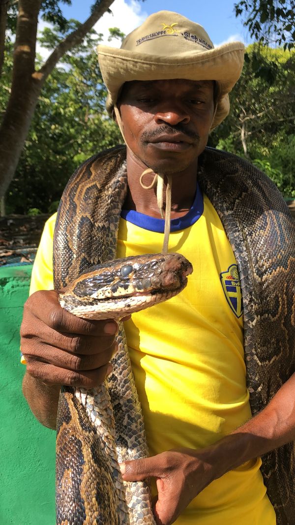 タンザニア連合共和国・ザンジバル島「Zanzibar」の写真：自然公園に行ったり、ひたすら動物に触った...