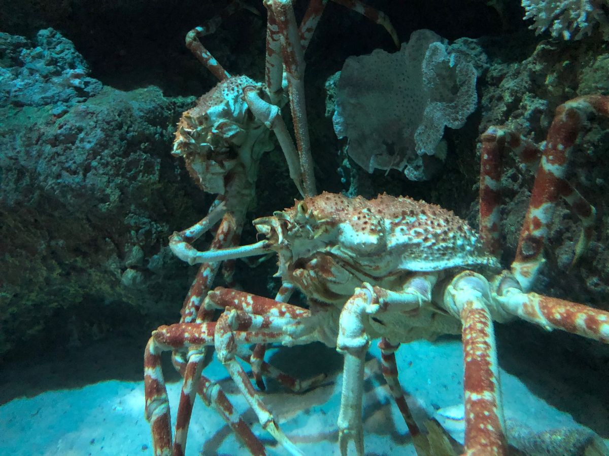 ヴィンパールフーコックで遊んだ。たくさん乗り物もあったし、水族館もあった。...