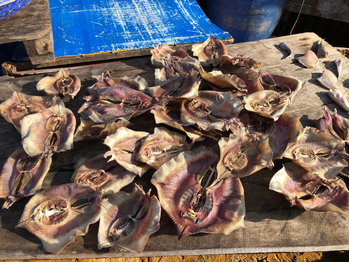 干しエイや干しナマコ、サメを食べた。あとタツノオトシゴも食べた。異文化だなぁ🇻🇳