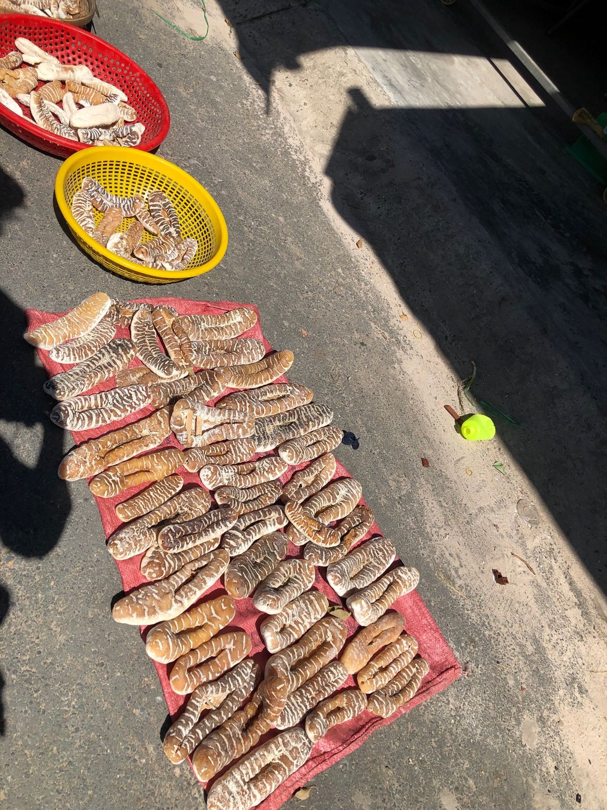 干しエイや干しナマコ、サメを食べた。あとタツノオトシゴも食べた。異文化だなぁ🇻🇳