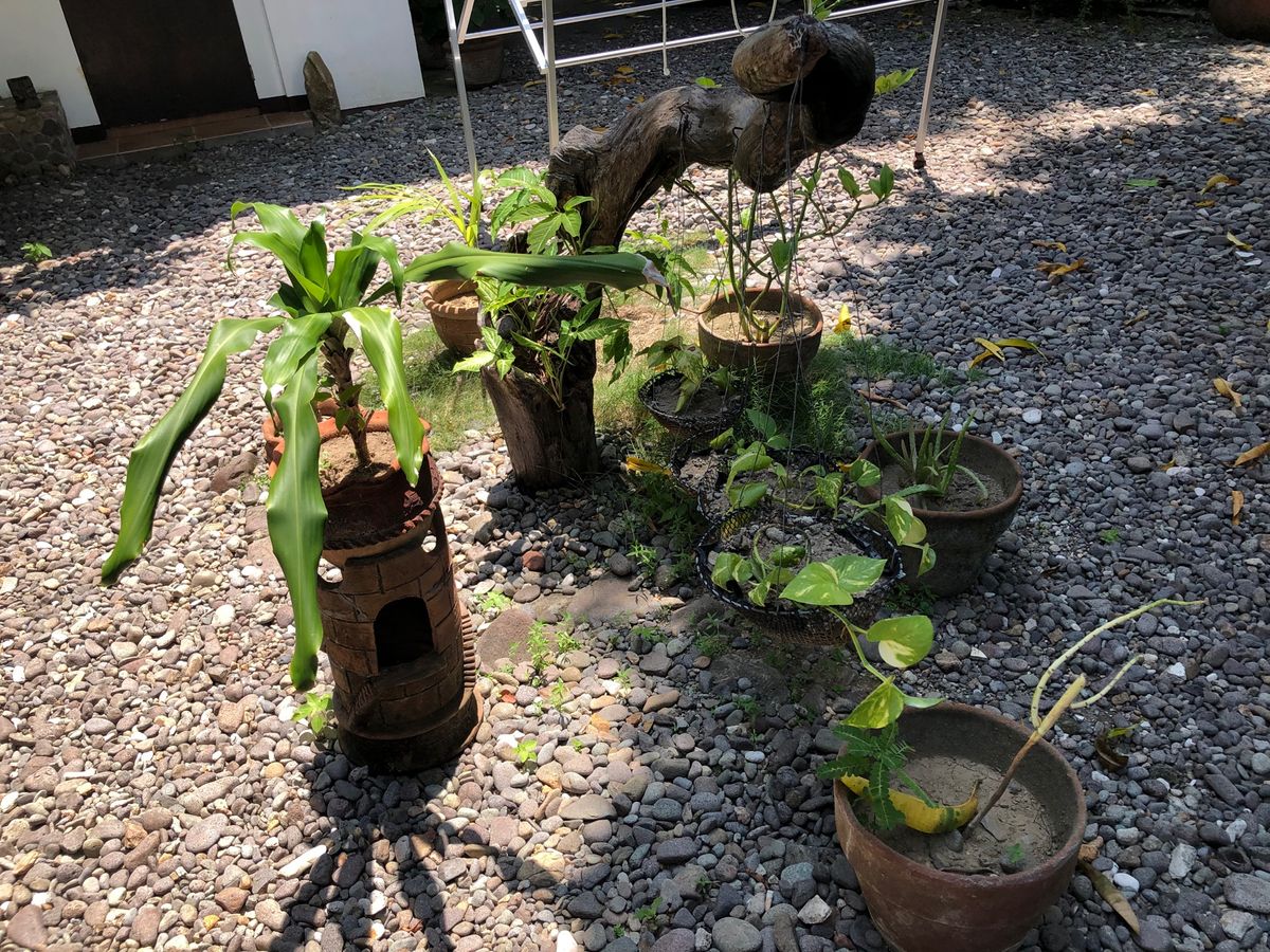 日本人で宿を営んでいるおじさんに親切にしてもらった。海が荒れてたけど駄々を...