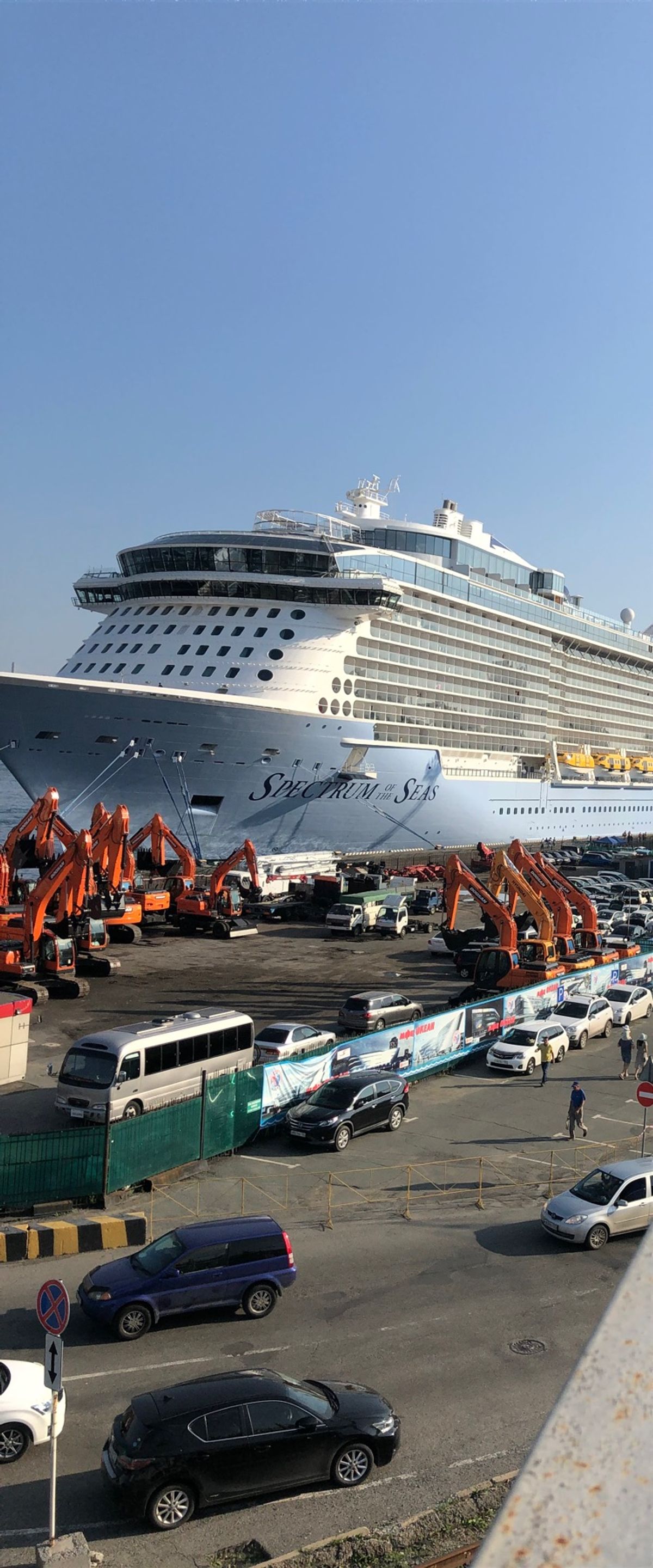 猫がお出迎え。大型客船も来ていた。ロシアは初めてだけど、思っていたよりもご...