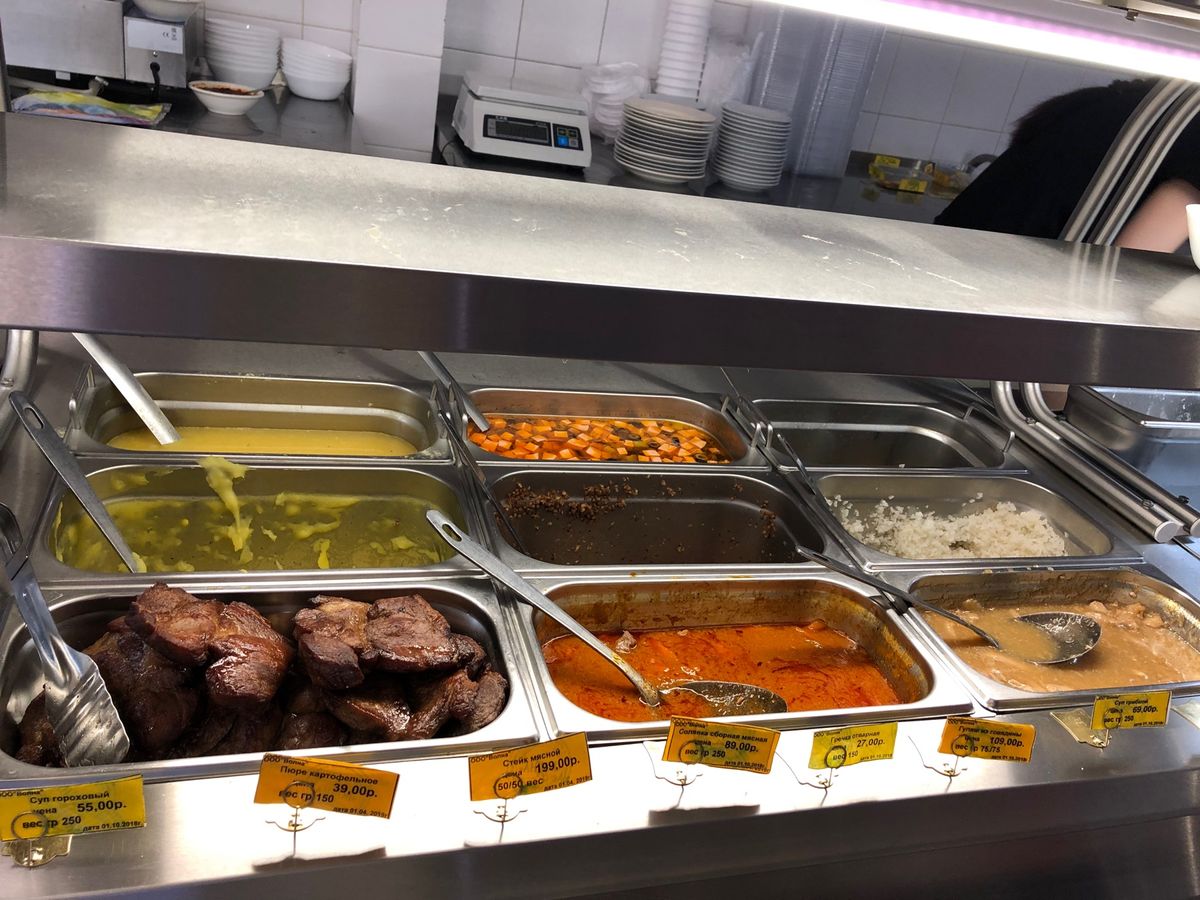 猫がお出迎え。大型客船も来ていた。ロシアは初めてだけど、思っていたよりもご...