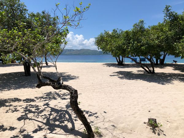 フィリピン・ブスアンガ島「Busuanga」の写真：一島一リゾート的なホテルに。