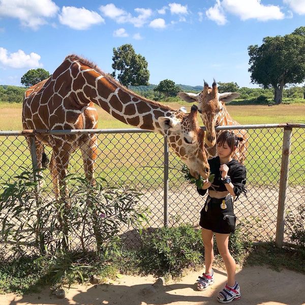 フィリピン・ブスアンガ島「Busuanga」の写真：ジュゴンとキリンにあって、地元の発表会に...
