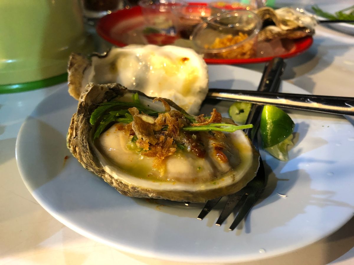 おっきな犬と遊んだり、おっきな猫🐯撫で回したり