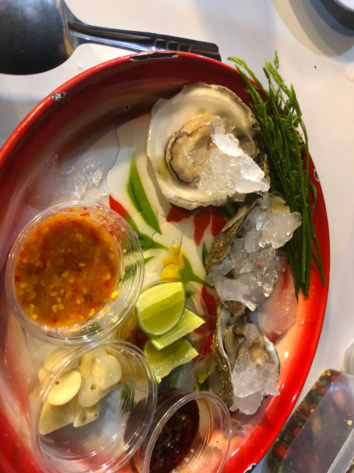 おっきな犬と遊んだり、おっきな猫🐯撫で回したり