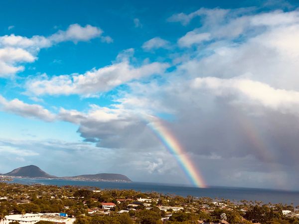 アメリカ(米国)・ハワイ「ハワイ一人旅行」の写真