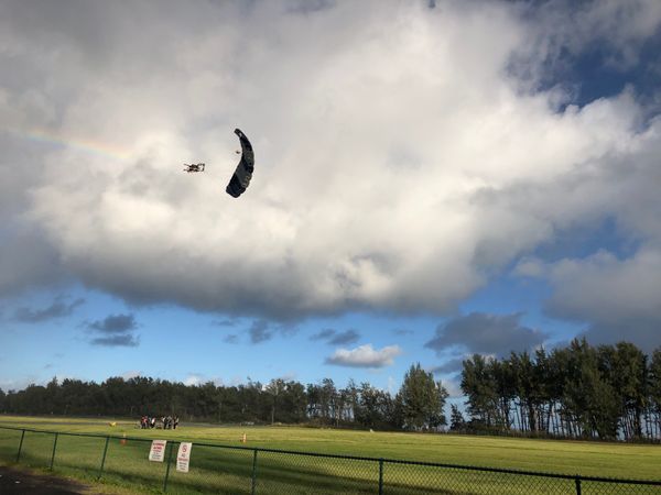 アメリカ(米国)・ハワイ「ハワイ一人旅行」の写真