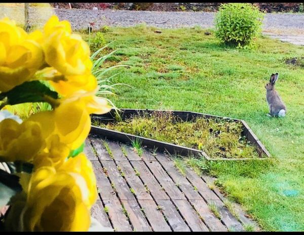 スウェーデン・ストックホルム「スウェーデン一人旅」の写真