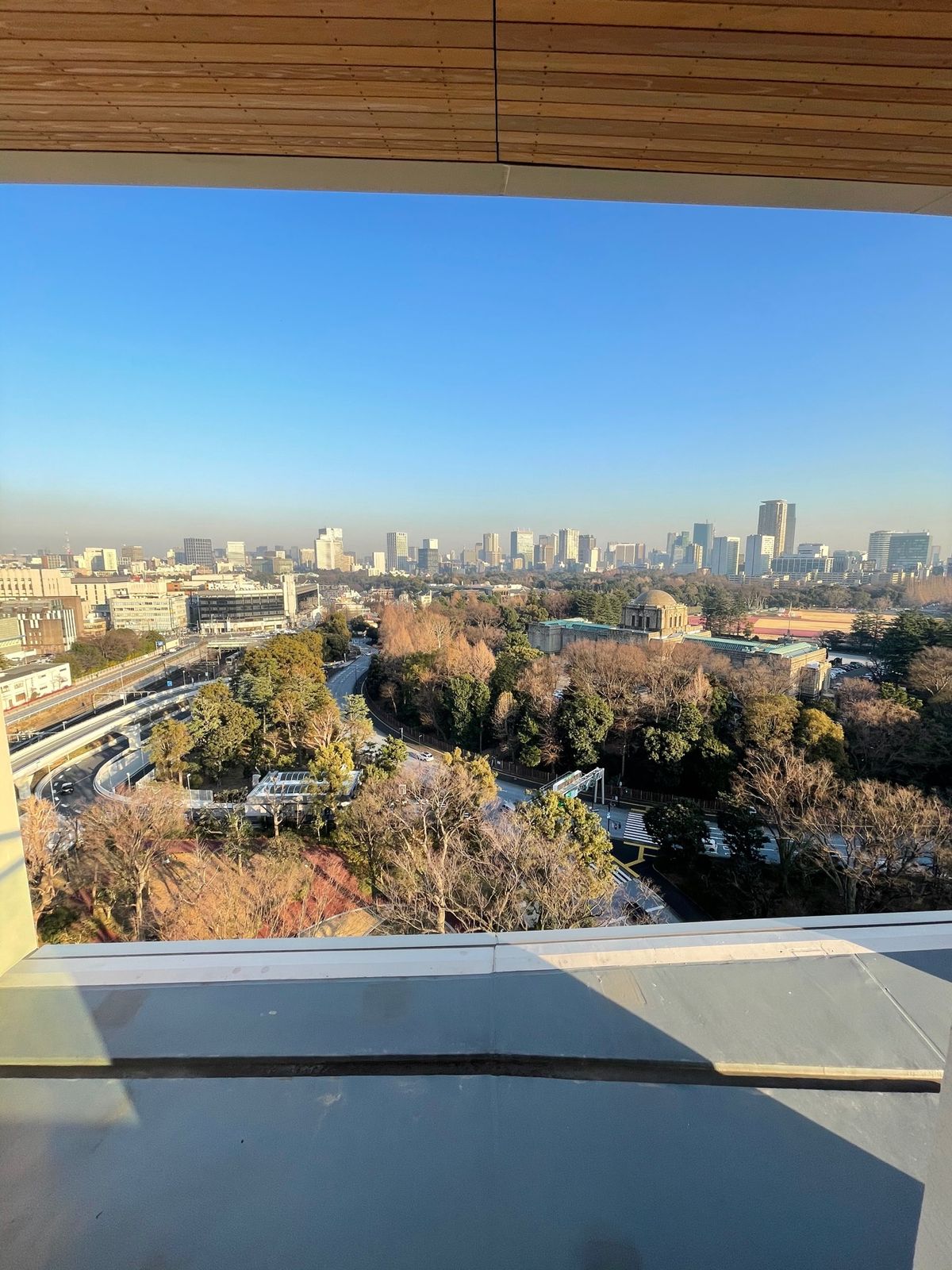 美しい。けど寂しい🥲