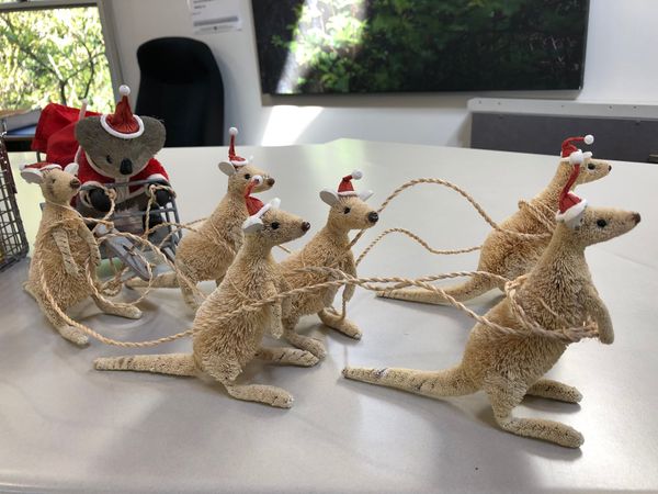 オーストラリア連邦・メルボルン「メルボルン🇦🇺2019」の写真