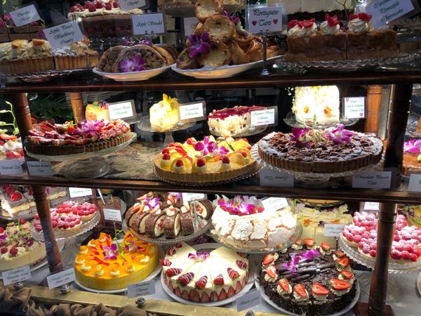 オーストラリア連邦・メルボルン「メルボルン🇦🇺2019」の写真：メルボルンに到着した朝、ホテルのチェック...