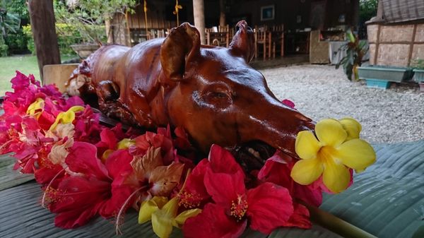 フィリピン・セブ島「セブ島ダイビング」の写真：最終日のレチョン&amp;ジョリービー