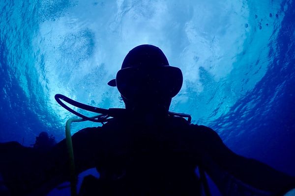 日本・沖縄県「久米島アルバイト①」の写真