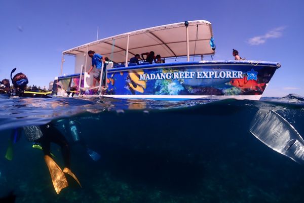 パプアニューギニア・マダン「パプアニューギニアダイビング」の写真