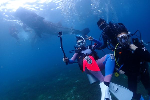 フィリピン・セブ島「セブ島ダイビング」の写真