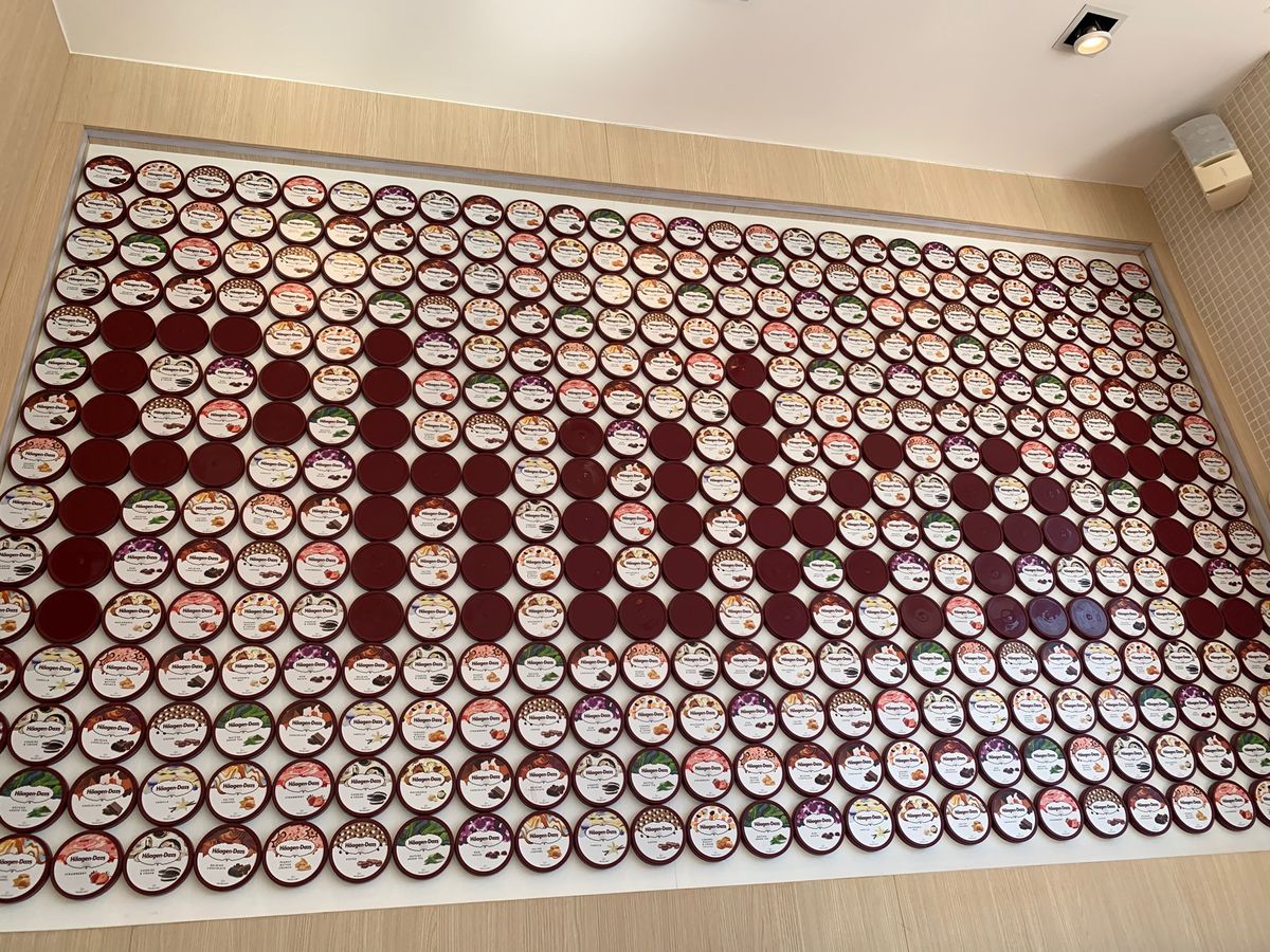 プーケットでの観光
動物園とは比べものにならない近さのゾウ！(トラとも戯れ...