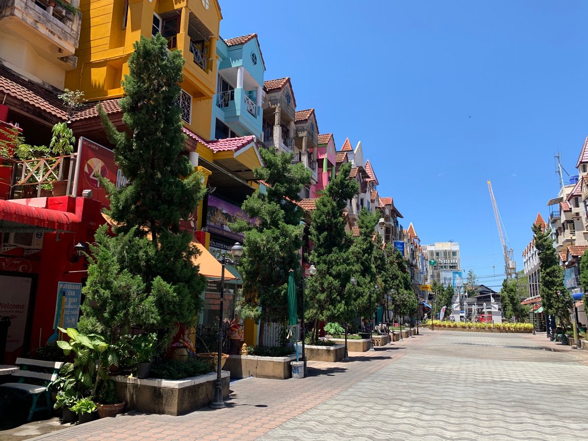 プーケットでの観光
動物園とは比べものにならない近さのゾウ！(トラとも戯れ...