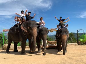 プーケットでの観光
動物園とは比べものにならない近さのゾウ！(トラとも戯れ...
