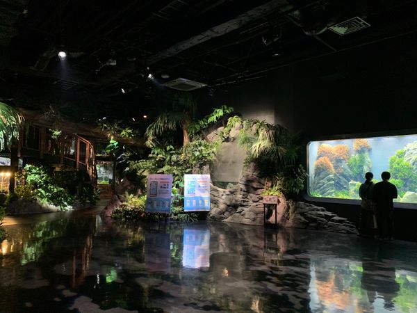 日本・沖縄県「久米島アルバイト③」の写真：自転車を借りて那覇近辺を周りました。
メ...